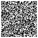 QR code with Borg Construction contacts