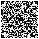 QR code with Carter Shawn A contacts