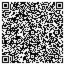 QR code with Pristine Income contacts