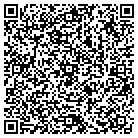 QR code with Professional Auto Center contacts