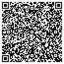 QR code with Castle of Tiles LLC contacts