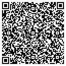 QR code with Conceptual Technology contacts