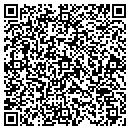 QR code with Carpets of Cabot Inc contacts