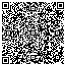 QR code with Cleverex Systems Inc contacts