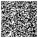 QR code with Chapin Construction contacts