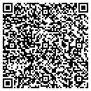 QR code with Bluestream Connexion contacts