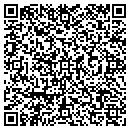 QR code with Cobb Lock & Security contacts