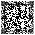 QR code with Punctuation Media Corp contacts