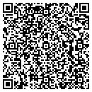 QR code with Cronin Group contacts