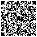 QR code with Pyramid Hotel Group contacts