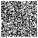 QR code with Publix contacts