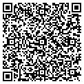 QR code with Dig-It contacts
