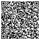 QR code with Primitive Peace contacts