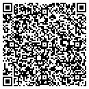 QR code with Pugh Network Systems contacts