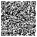 QR code with Island contacts