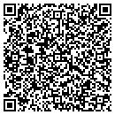 QR code with Pvig Inc contacts