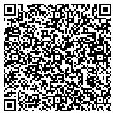 QR code with Pv Suppliers contacts
