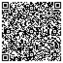 QR code with Biscayne Electric Inc contacts
