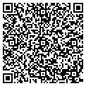 QR code with Aig contacts