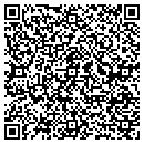 QR code with Borelli Construction contacts
