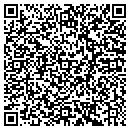 QR code with Carey Construction Co contacts