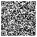 QR code with Sunoco contacts