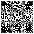 QR code with Camel Construciton Inc contacts