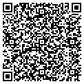 QR code with Willson contacts