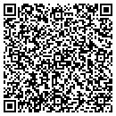 QR code with Clements Larry V MD contacts