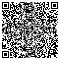 QR code with P M Loe contacts