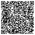 QR code with Bischof contacts