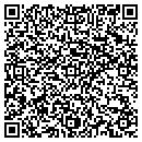 QR code with Cobra Enterprise contacts
