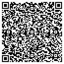 QR code with Cjs International Inc contacts