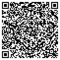 QR code with Icg Systems Inc contacts
