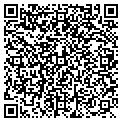 QR code with Dybiec Enterprises contacts