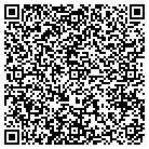 QR code with Pulaski Surgery Clinic PA contacts