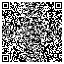 QR code with Professional Finish contacts