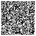 QR code with T White contacts