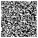 QR code with Professional Lockguys contacts