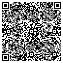 QR code with Professional Lock&Key contacts