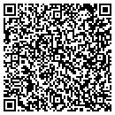 QR code with Columns At Seminole contacts