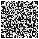 QR code with Pulse Home Technology contacts