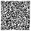 QR code with Cigna contacts