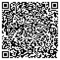 QR code with Cigna contacts