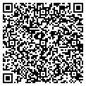 QR code with Cefco contacts