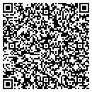 QR code with Ps Group Inc contacts