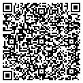 QR code with Visalus contacts