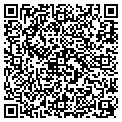 QR code with Delfel contacts