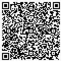 QR code with Nebavi contacts