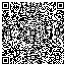 QR code with Praiz Grafix contacts